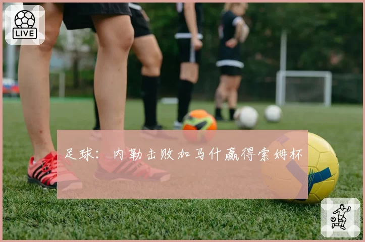 足球:内勒击败加马什赢得索姆杯